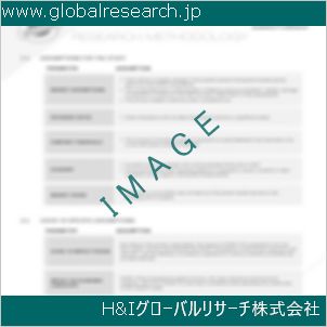 グローバルリサーチ調査資料のイメージ